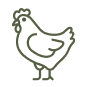 Broiler-Breeder